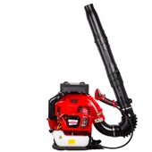 Palmera Eb985a Eur5 Sırt Tipi Yaprak Üfleme Makinesi 5 Hp - 1