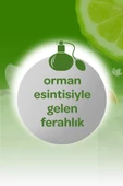 Dalin Kolonya Orman Esintisi 150 ml - 4