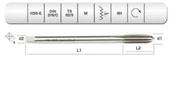 EVAR  HSSE DIN 376/C MAKİNA KLVZ. M 20    (6H) - 1