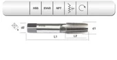 EVAR  HSS USA.STD. 1/16 KONİK  NPT   1/4 "X1 - 1