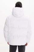 White COSMOS - 4