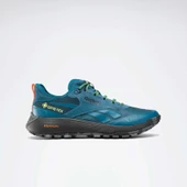 Reebok Dmx Trail gtx Mavi Unisex Yürüyüş Ayakkabısı 100200883 - 1