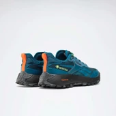 Reebok Dmx Trail gtx Mavi Unisex Yürüyüş Ayakkabısı 100200883 - 3