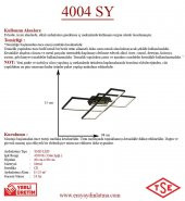 Eray Aydınlatma 4004 Siyah Led Avize - 4