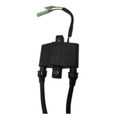 Yamaha Dıştan Takma F Için Ateşleme Bobini 9.9hp - 20hp 15hp 40hp 6f5-85570-13 - 2