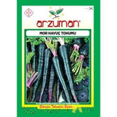 1 Paket Tohum Arzuman Siyah Havuç Tohumu Hediye Tohumlu thumbnail 1