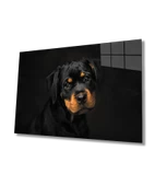 Köpek Hayvan  Dekoratif ve Modern Cam Tablo thumbnail 1