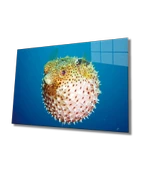 Fugu Balığı Dekoratif ve Modern Cam Tablo Fugu - 1