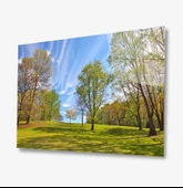 Doğa Dekoratif ve Modern Cam Tablo - 1