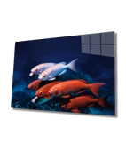 kırmızı Beyaz Balıklar Dekoratif ve Modern Cam Tablo Red White Fishes - 1