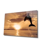 Yunus Balığı Dekoratif ve Modern Cam Tablo Dolphin - 1