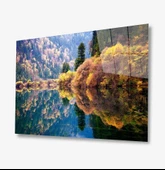 Doğa Dekoratif ve Modern Cam Tablo - 1