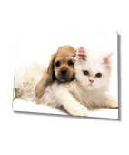 Kedi ve Köpek Dekoratif ve Modern Cam Tablo - 1