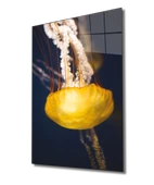 Sarı Denizanası Dekoratif ve Modern Cam Tablo Yellow Jellyfish - 1