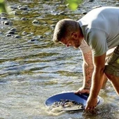 XP GOLD PAN BATEA ALTIN TAVASI thumbnail 7