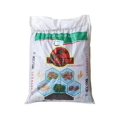 Leonardit T-Rex Fosil (25 Kg) - 1