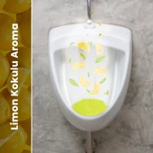 Mulpex Limon Kokulu Pisuvar Süzgeci - 5 Adet - Pisuvar, Küvet ve Lavabolar İçin 15x15 cm - 4