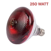 Şavk Isıtıcı Lamba 250 Watt Kırmızı - 1