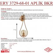 Eray Aydınlatma ERY 3729-68-01 Bakır Renk Modern Aplik - 4