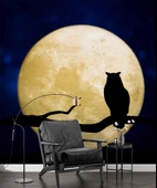 Gece Ay ve Baykuş Manzaralı Duvar Kağıdı thumbnail 6
