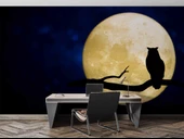 Gece Ay ve Baykuş Manzaralı Duvar Kağıdı thumbnail 4