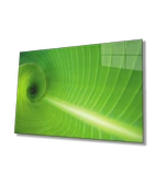 Yeşil Yaprak Green Leaf thumbnail 1