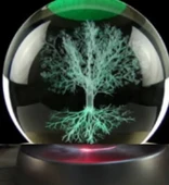Ağaç Plastik Altlıklı Cam Küre - 1