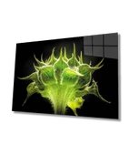 Yeşil Bitki Dekoratif ve Modern Cam Tablo thumbnail 1