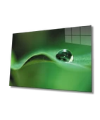 Su Damlası Yeşil Yaprak Dekoratif ve Modern Cam Tablo - 1