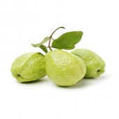 Tüplü Thai Armut Guava Fidanı Meyve Verme Yaşında - 2