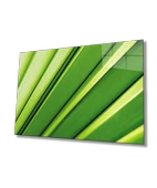 Yeşil Yaprak Green leaf - 1