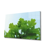 Yeşil Yapraklar Green Leaves - 1