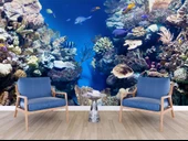 Denizaltı Mercan Manzaralı Duvar Kağıdı thumbnail 6