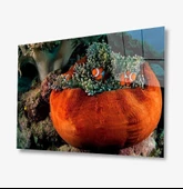 Turuncu Balıklar Dekoratif ve Modern Cam Tablo Orange - 1