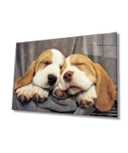Uyuyan Köpekler Dekoratif ve Modern Cam Tablo - 1