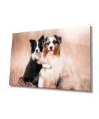 Köpekler Dekoratif ve Modern Cam Tablo - 1