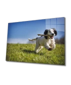 Köpek  Dekoratif ve Modern Cam Tablo - 1