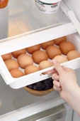 Eggo Pratik Geçmeli Mandallı Raf Yumurtalık 15'li Dolap Içi Yumurta Saklama Kutusu - 1