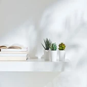 SUMUHOME FEJKA SAKSILI YAPAY BİTKİ KAKTÜS 6 CM 3 ADET - 5