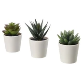 SUMUHOME FEJKA SAKSILI YAPAY BİTKİ KAKTÜS 6 CM 3 ADET - 1