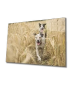 Köpek Dekoratif ve Modern Cam Tablo - 1