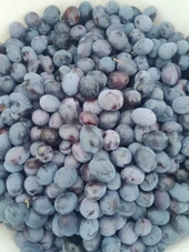Gemlik Doğal Ham Zeytin 10 kg - 2