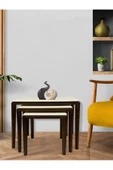 ant home LİKA ZİGON SEHPA 3'LÜ LAKE BOYALI - 4