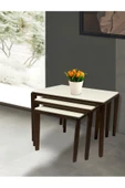 ant home LİKA ZİGON SEHPA 3'LÜ LAKE BOYALI - 3