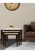 ant home LİKA ZİGON SEHPA 3'LÜ LAKE BOYALI - 2