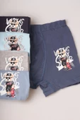 Bravie Ayı Resimli Renkli Erkek Çocuk Boxer - 4