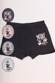 Bravie Ayı Resimli Renkli Erkek Çocuk Boxer - 3