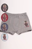Bravie Renkli Köpek Resimli Erkek Çocuk Boxer - 3