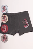 Bravie Renkli Resimli Erkek Çocuk Boxer - 3