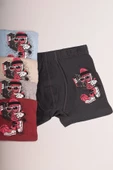 Bravie Renkli Resimli Erkek Çocuk Boxer - 4